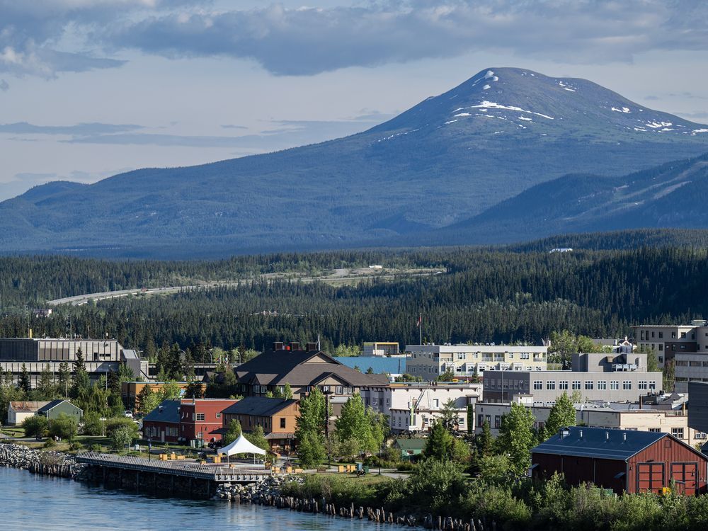 NextImg:Yukon wildfires under control, but information officer says there's a chance for more