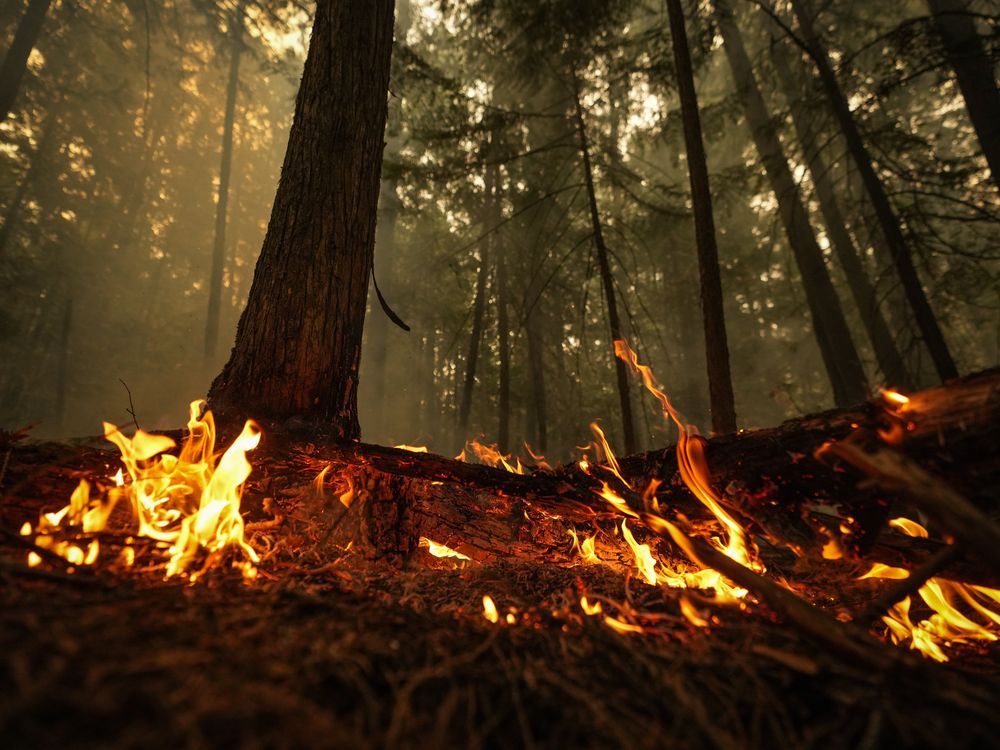 NextImg:Active wildfires tick up in central B.C., risk of lightning coming to the north