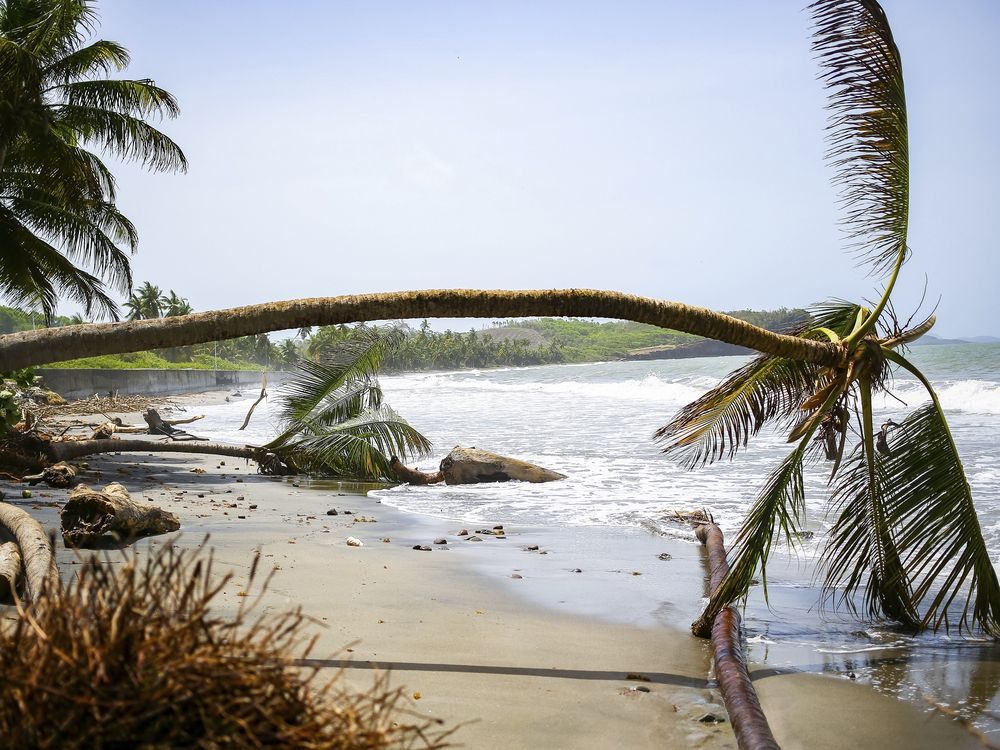 NextImg:Canadians in Grenada and Montreal rally to help after hurricane devastation