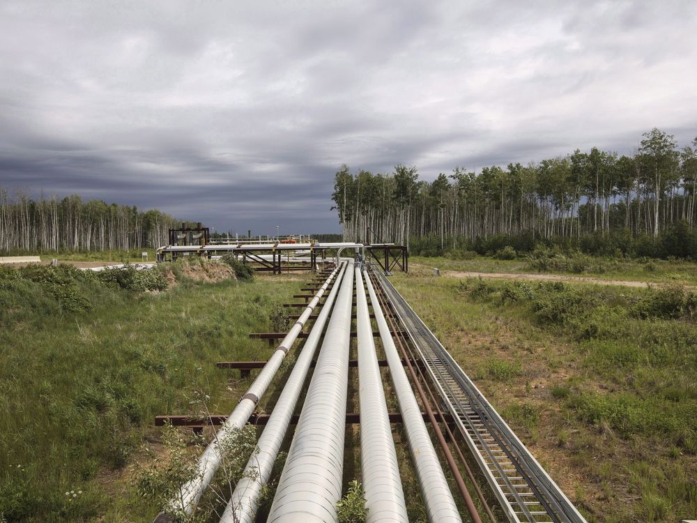 NextImg:NP View: Save the planet with Canadian oil and gas