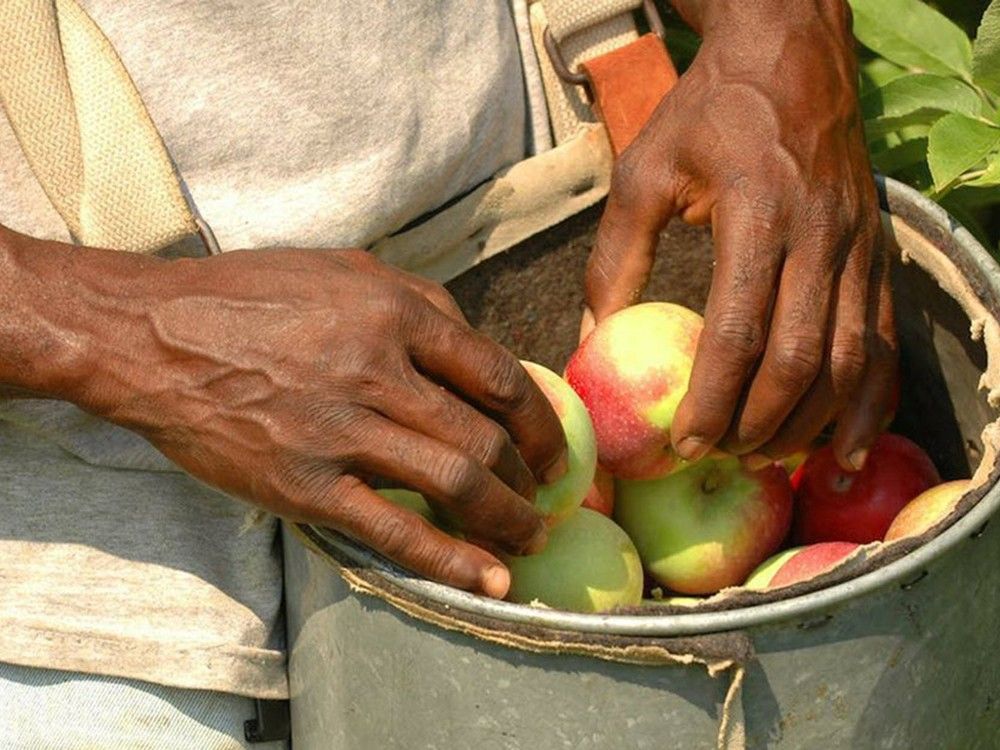 NextImg:Justin Trudeau mulls name-and-shame policy to curb foreign worker abuse