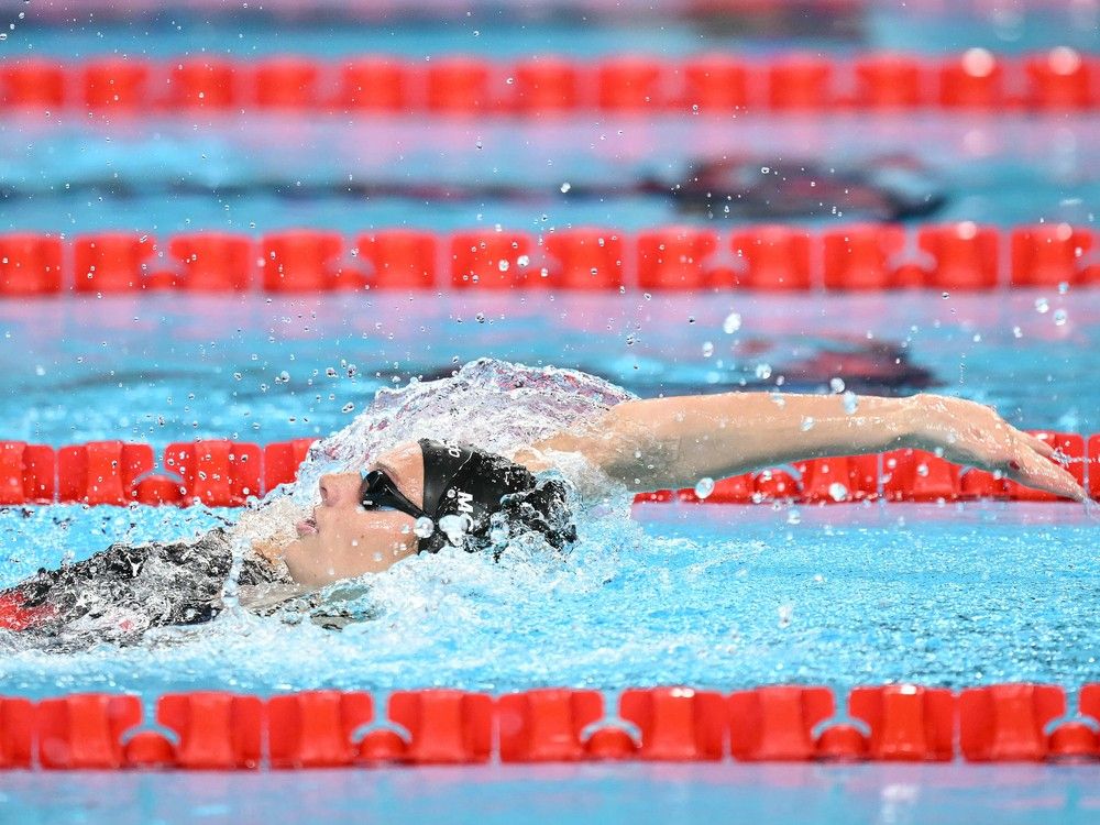 NextImg:Canada's Olympic swimmers were born in Canada but made in the U.S.A.