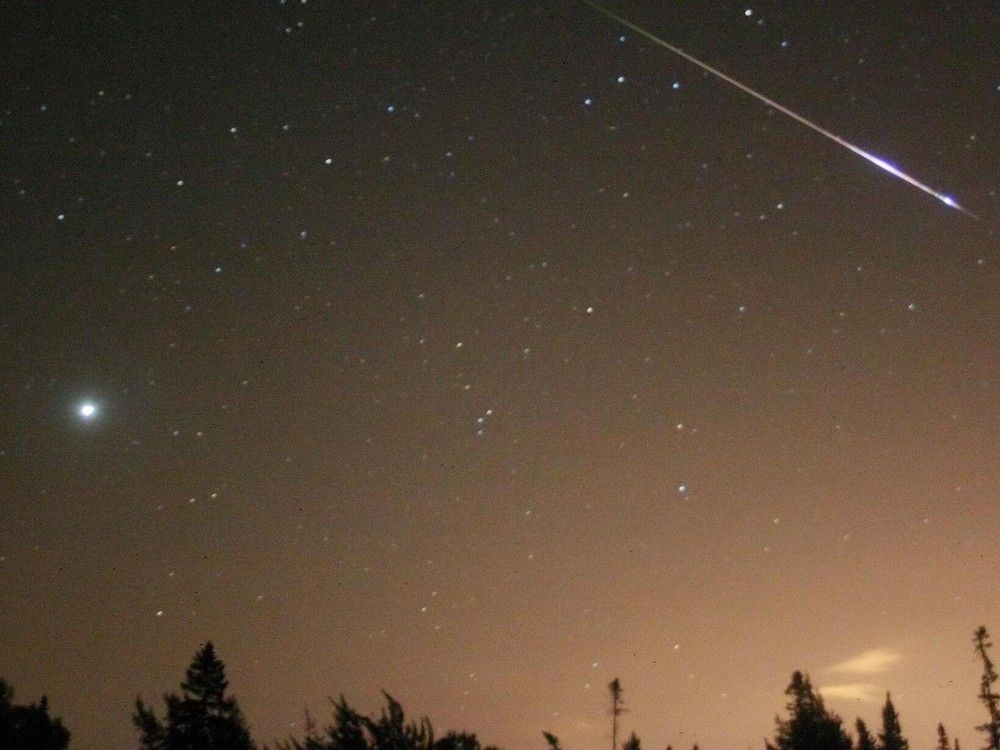NextImg:What is a Perseid meteor shower and how can Canadians see it?