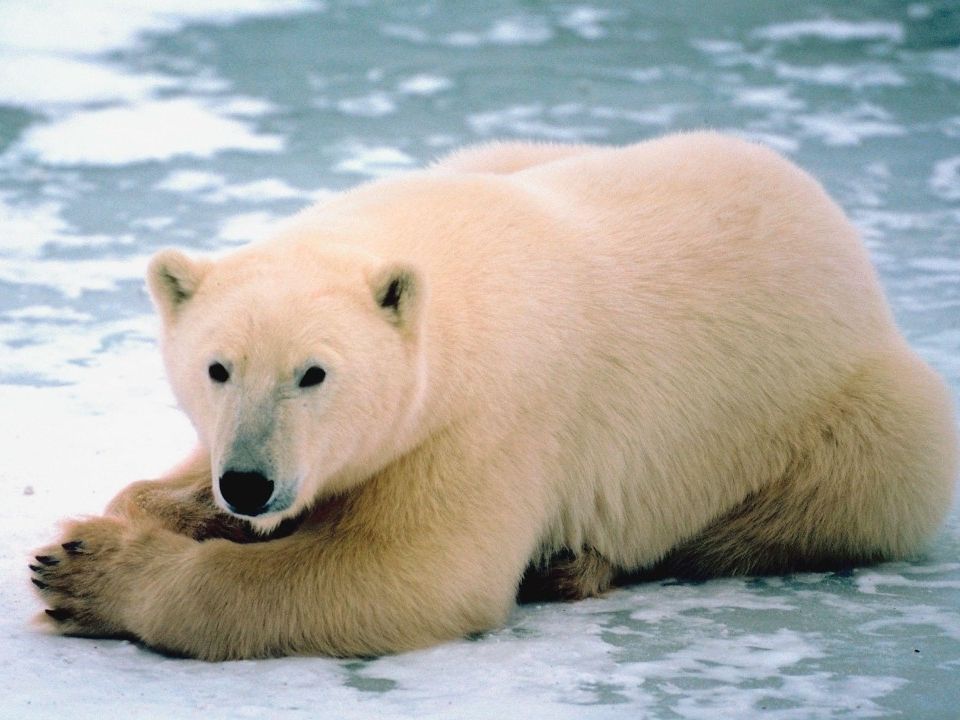 NextImg:Conrad Black: Time for the climate insanity to stop