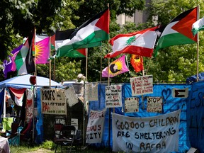 Experts warn Iran, others encouraging anti-Israel protests in Canada Experts warn Iran, others encouraging anti-Israel protests in Canada
