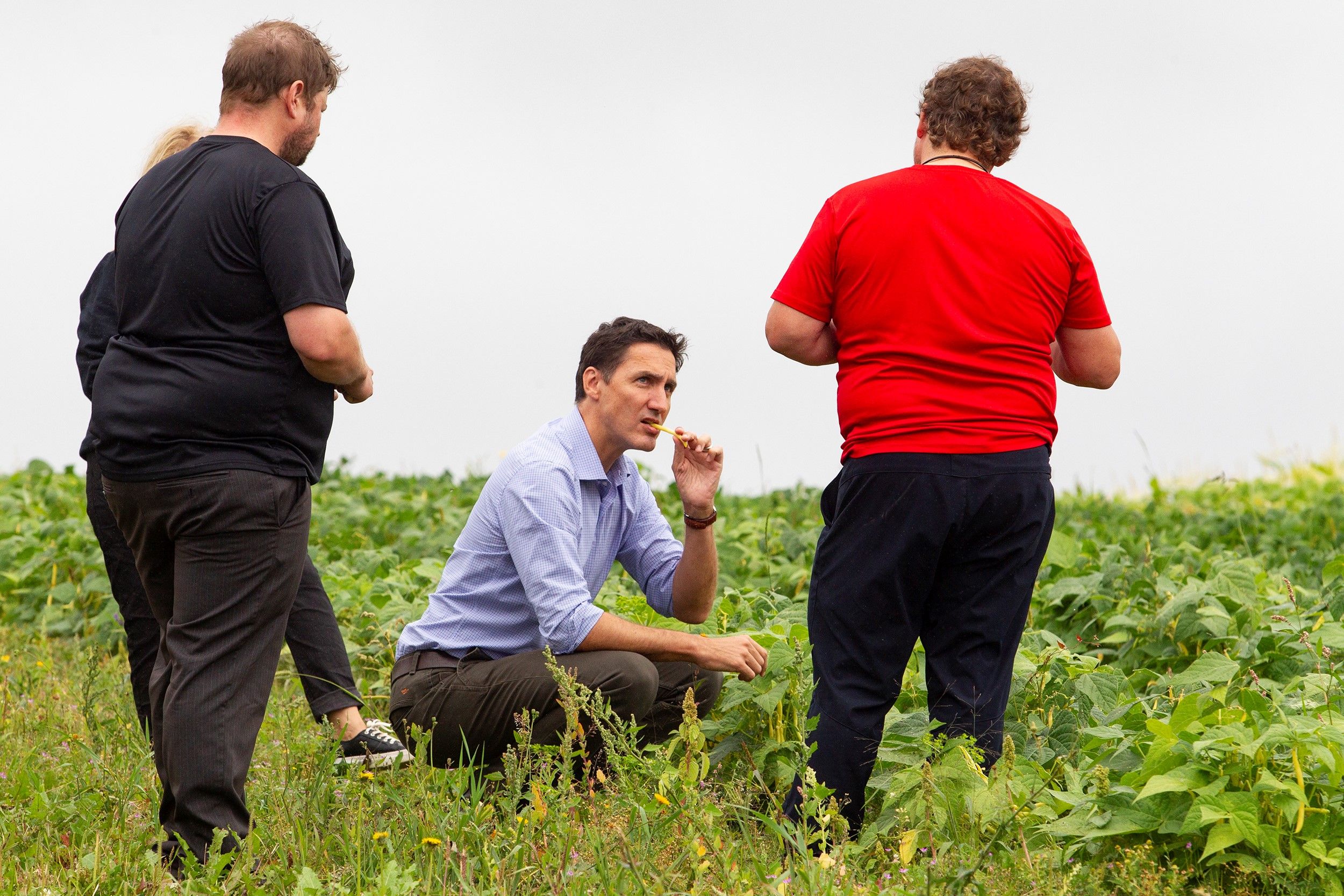 NextImg:Trudeau gazes upon a wasteland of Liberal leadership: Full Comment podcast