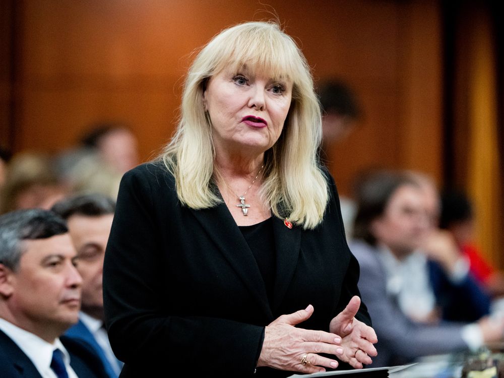 NextImg:Conservative MP removes 'incorrect' video after saying case could be made to keep CBC radio