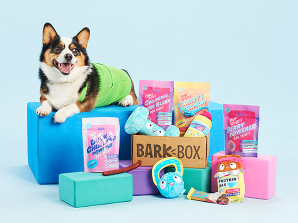 Dog subscriptions best sale