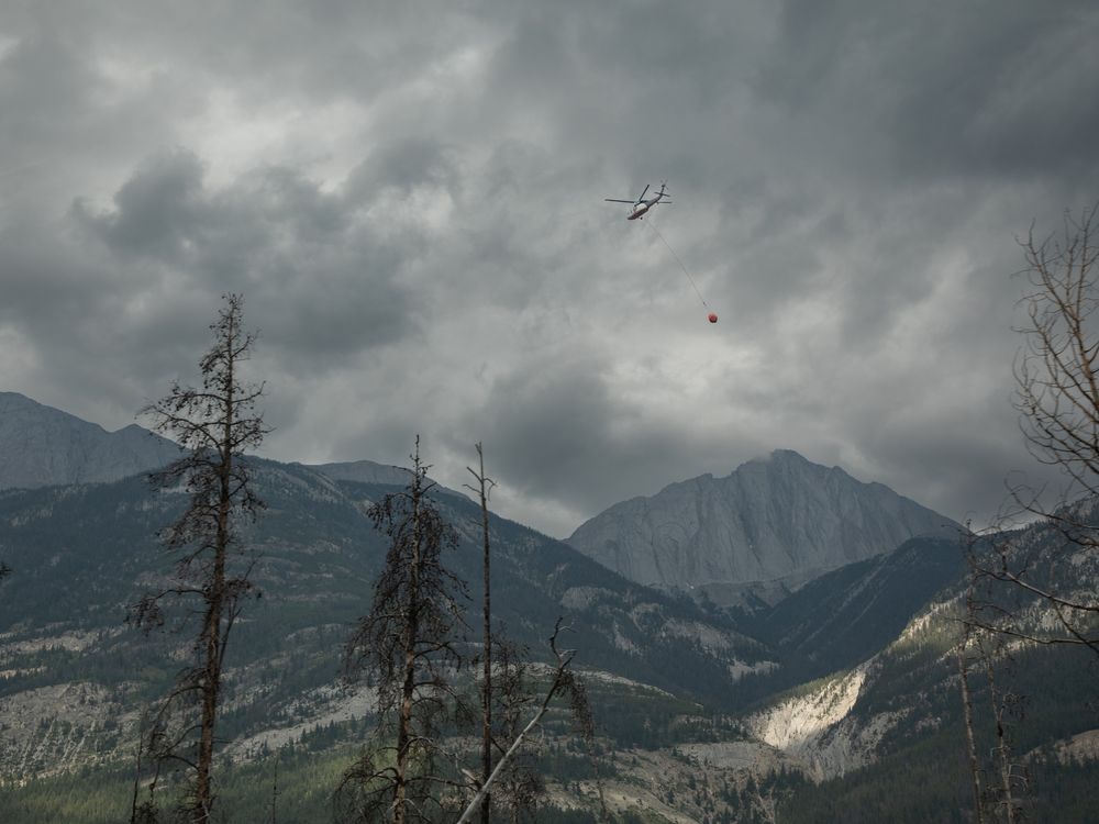 NextImg:Jasper’s burnt landscape could take more than a century to recover: wildfire expert