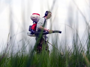 What is EEEV? Everything you need to know about mosquito-borne virus What is EEEV? Everything you need to know about mosquito-borne virus