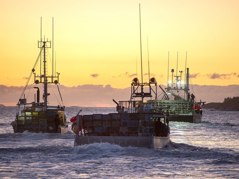 NextImg:Nova Scotia group wants a court to declare a First Nation’s lobster fishery illegal