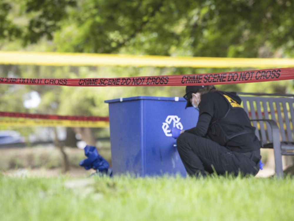 NextImg:Suspect charged with murder and animal cruelty in fatal carjacking of 80-year-old dog walker