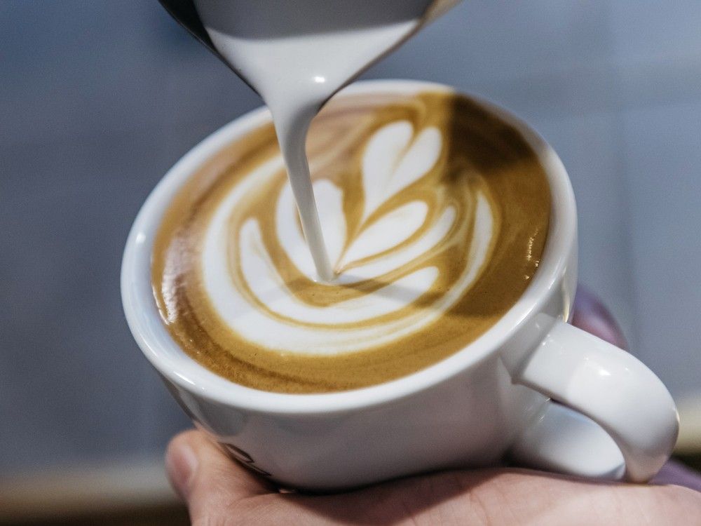 NextImg:More than 46,000 people observed in a study took their coffee black. Here's what happened to them