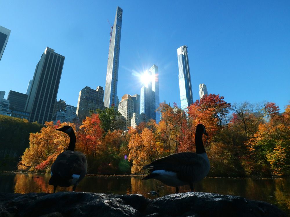 NextImg:'Diplomacy requires a handcrafted copper tub': Inside the thoughts of Canada’s $9M N.Y. consulate