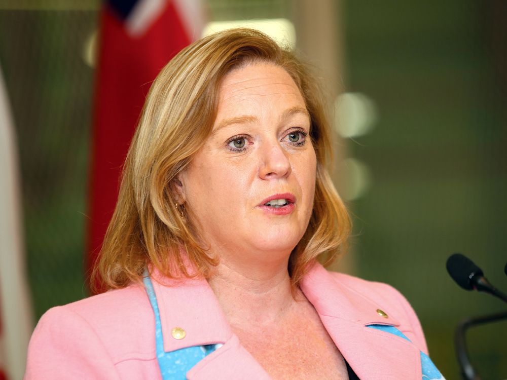 Ontario PC MPP Lisa MacLeod announces she will not seek re-election ...