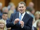 Conservative House leader Andrew Scheer rises during question period in Ottawa on May 30, 2024.