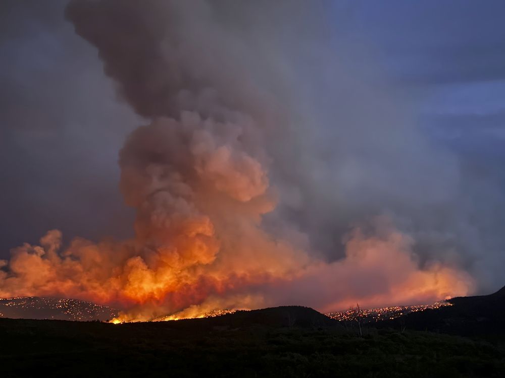 NextImg:Dog cremation sparked Colorado wildfire, authorities say