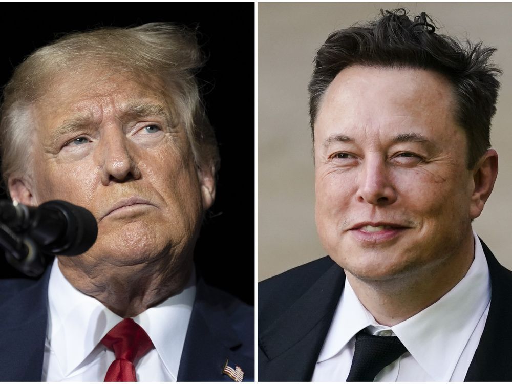 NextImg:Trump says Elon Musk would lead new government efficiency commission
