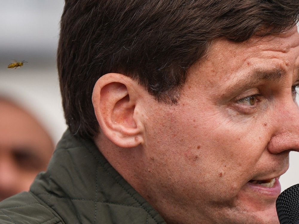 NextImg:David Eby upstaged by a wasp that flew down his shirt and stung him during a conference