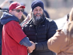 The NDP expects to hold its Winnipeg stronghold in byelection The NDP expects to hold its Winnipeg stronghold in byelection