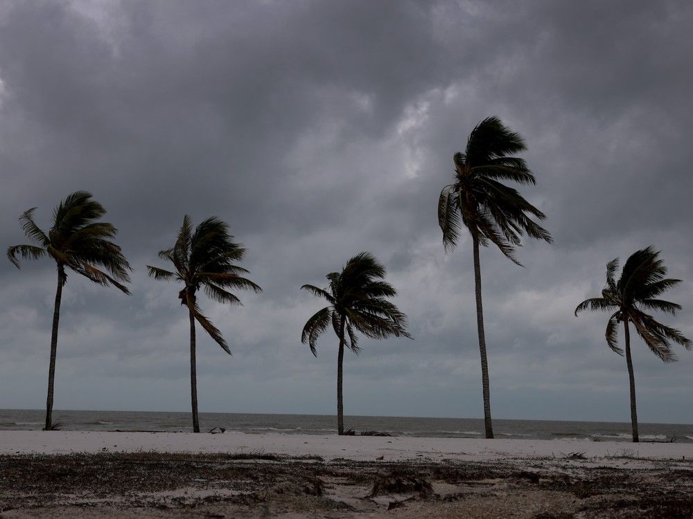 Plane flies into Hurricane Milton to get data as it heads to Florida