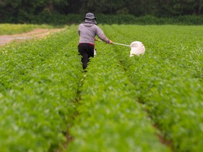 What Canadian firms found when they looked for forced labour What Canadian firms found when they looked for forced labour