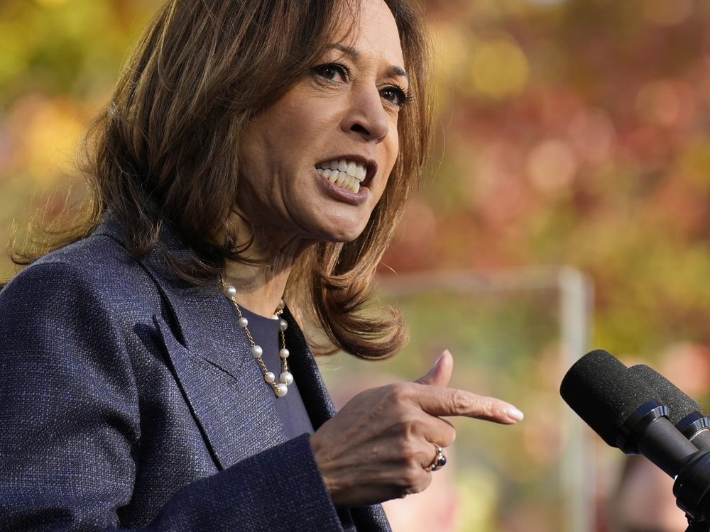 NextImg:Barbara Kay: Harris doesn't hate low-status men, she simply doesn't see them