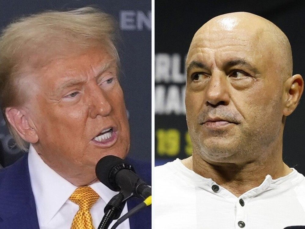 Joe Rogan endorses Donald Trump before voters hit the polls