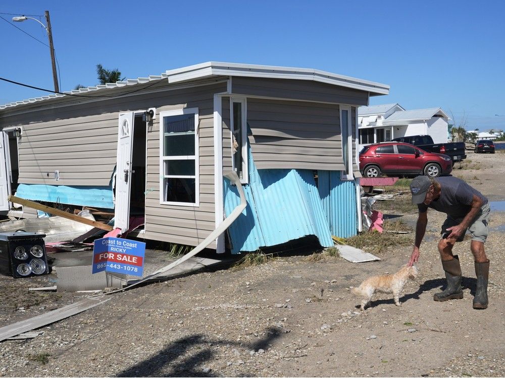 NextImg:Man charged with abandoning dog in floodwaters as Florida residents evacuated ahead of hurricane
