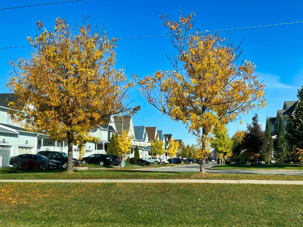 NextImg: Governments must do something to lower housing costs to make homeownership possible