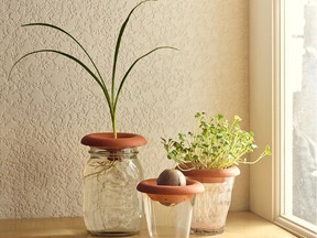 Sprouter