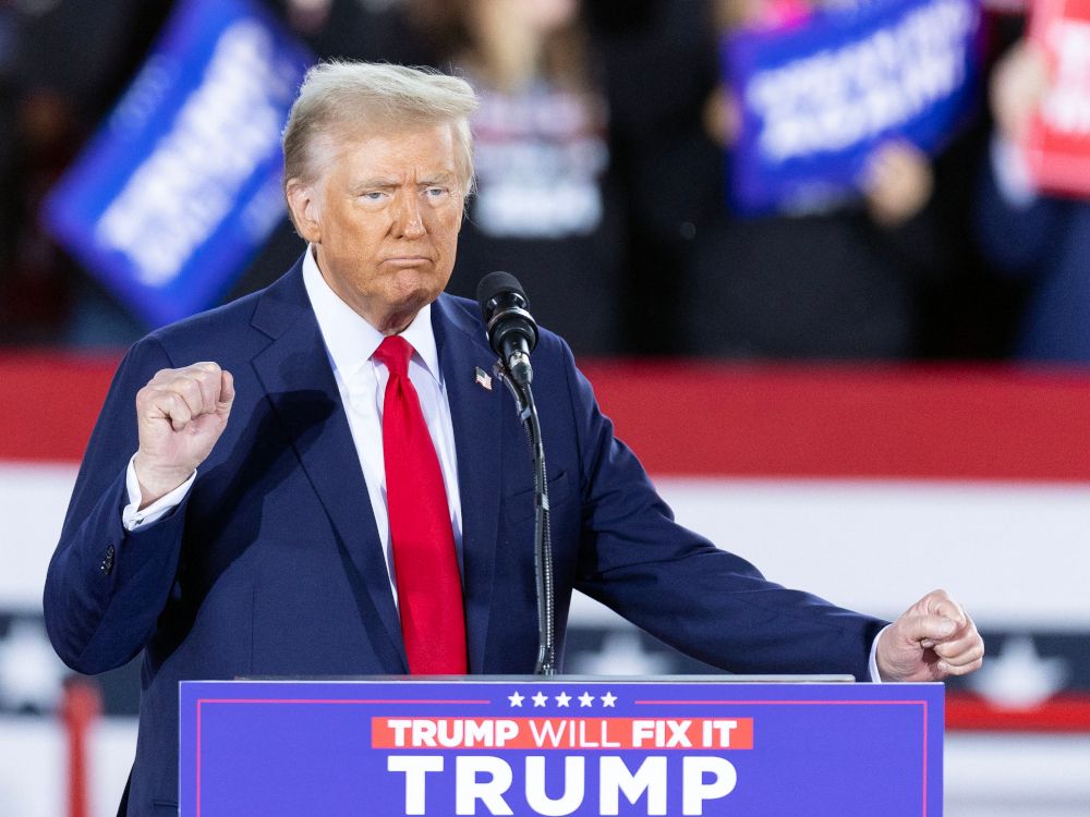 NextImg:Michael Taube: Liz Cheney lie just the latest media falsehood about Trump