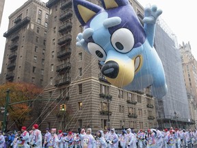 Bluey