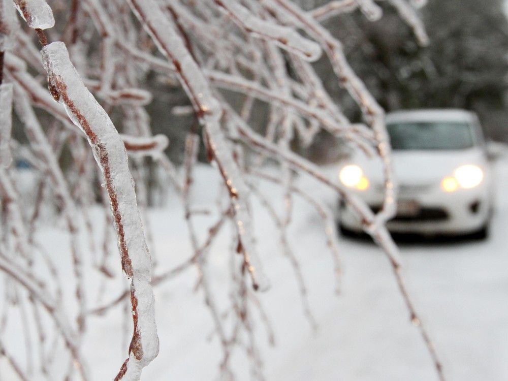 NextImg:3,500 people without power in New Brunswick after heavy snowfall