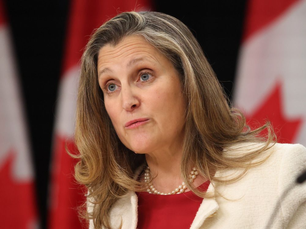 NextImg:Terry Newman: Freeland's 'Vibecession' economics are TikTok nonsense