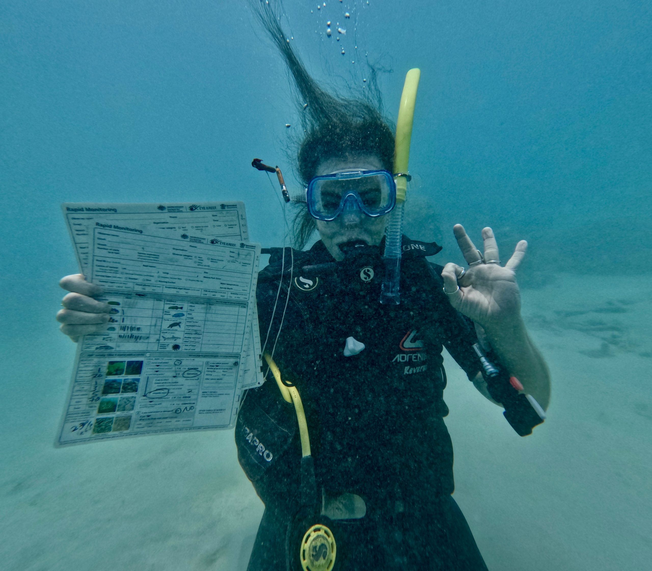 NextImg:How travellers can responsibly explore Australia’s Great Barrier Reef and Kangaroo Island