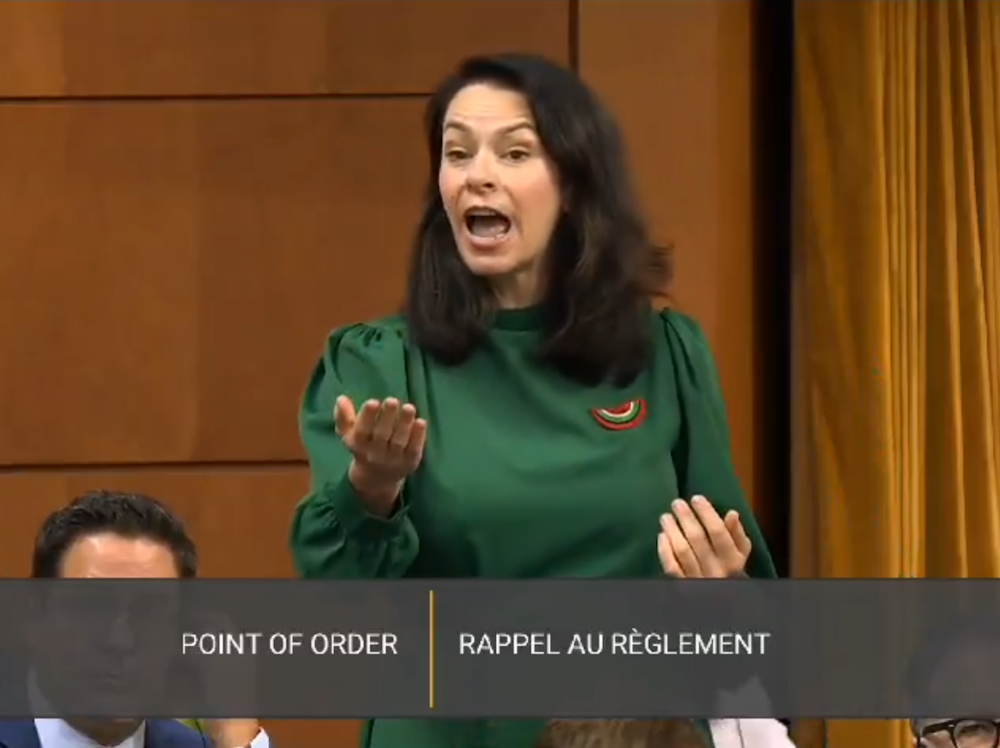 NextImg:NDP MP jeered for comparing pro-Palestinian watermelon pin to a Remembrance Day poppy