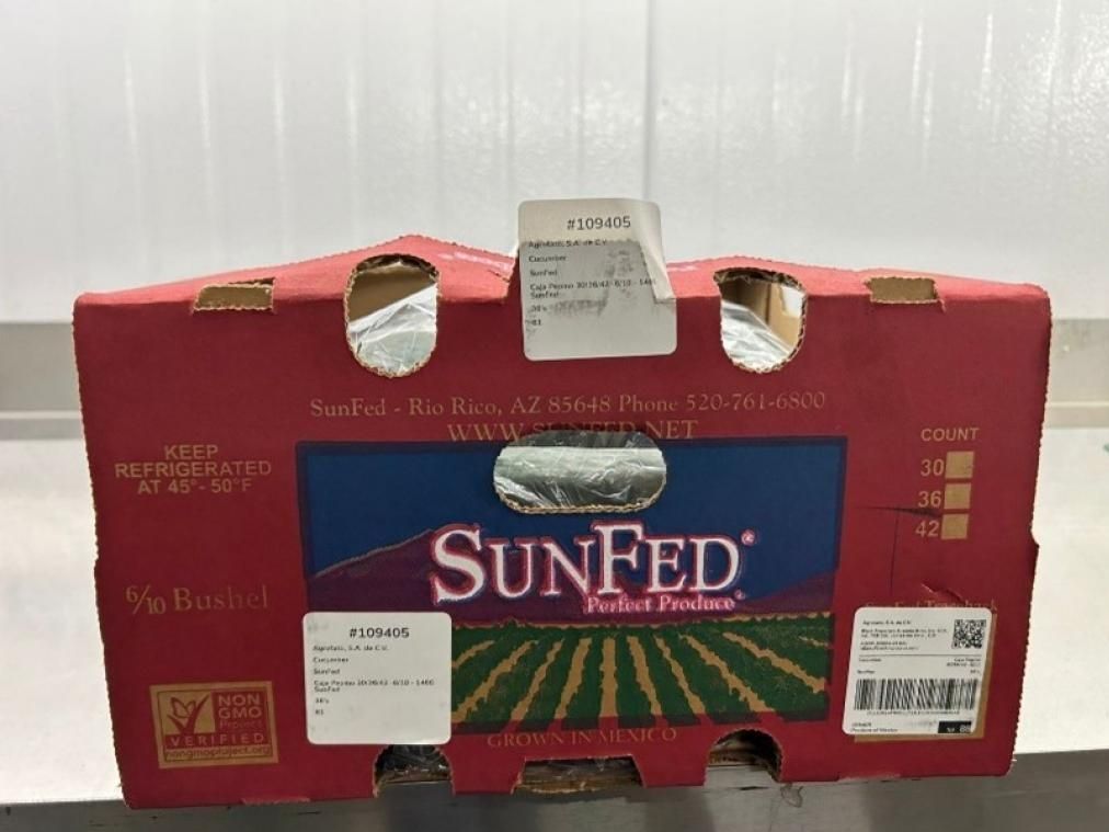 NextImg:Cucumbers recalled in Canada and U.S. due to potential salmonella infections