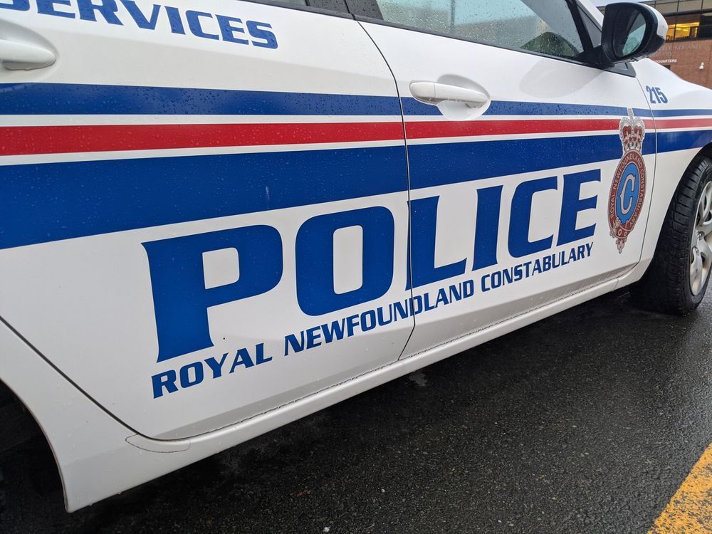 NextImg:Newfoundland man fatally electrocuted by downed power line, two women injured