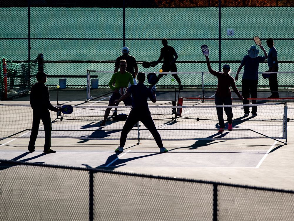 NextImg:P.E.I. mayor resigns over council's vote for pickleball courts