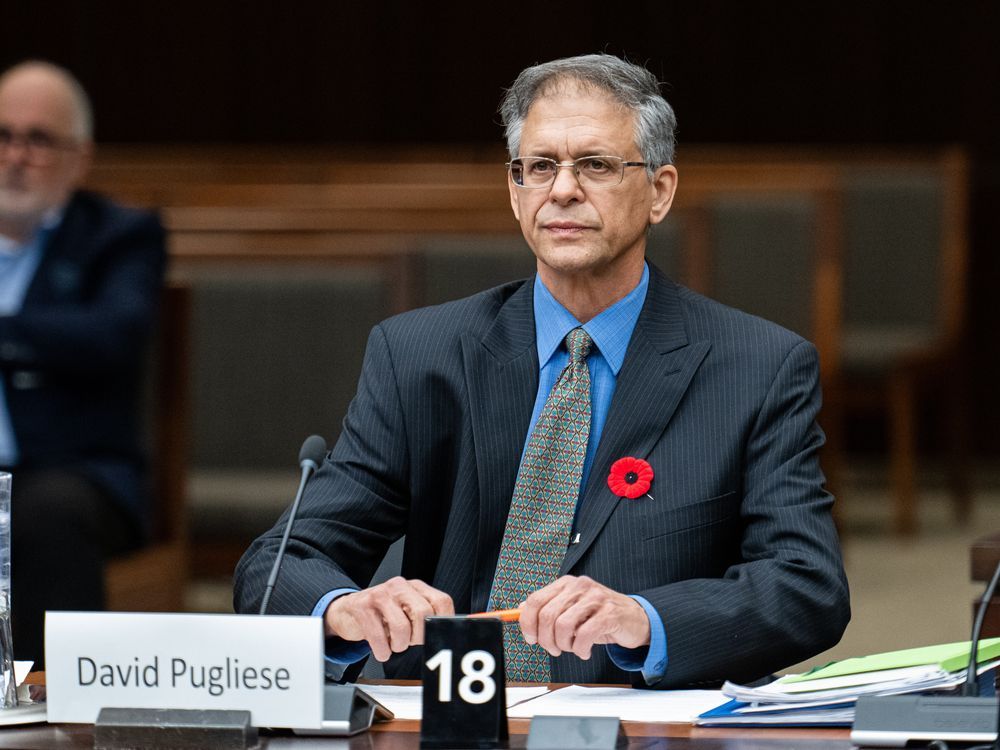 NextImg:MPs fell for disinformation, Postmedia reporter accused of being Russian spy tells committee