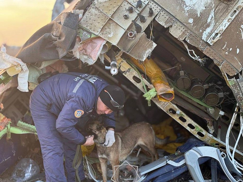NextImg:Some experts allege Russia's air defence behind Azerbaijan Airlines crash. Here's why