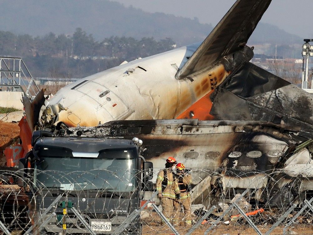 NextImg:A plane crashes and bursts into flames while landing in South Korea, killing 179
