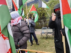 Palestinian flags