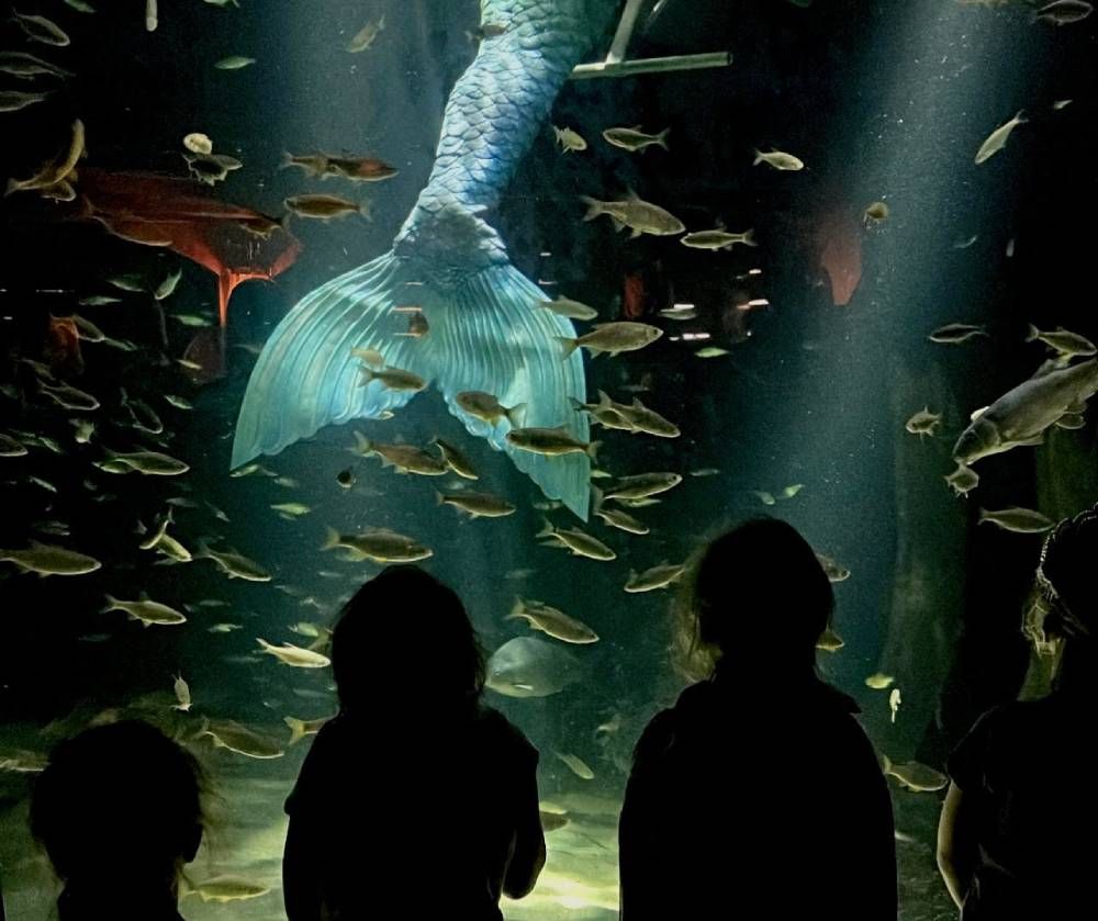 Catch the mermaids in Brockville this March break | National Post