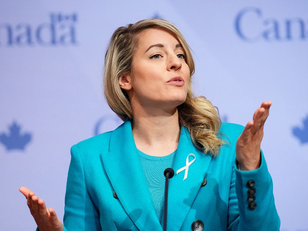 NextImg:Liberals' Arctic policy comes at 'a critical moment,' Joly says, but with no new defence spending