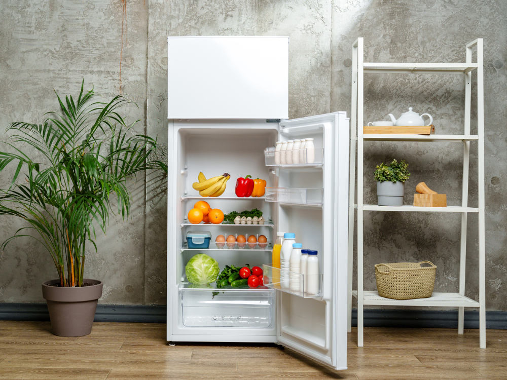 Best fridge organization containers to order in Canada 2025 National Post