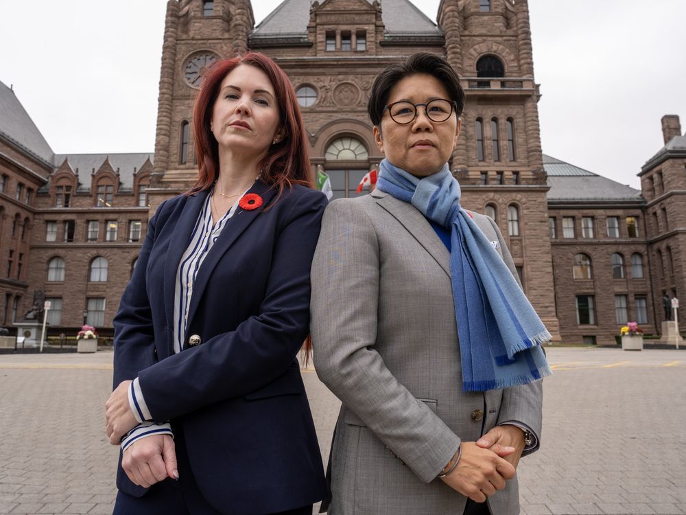 NextImg:’Insulting’: Intimate partner violence study cut short as Ontario eyes early election
