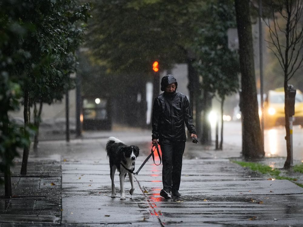 NextImg:Parts of Vancouver could get 70 mm of rain as Environment Canada issues weather warnings in B.C.