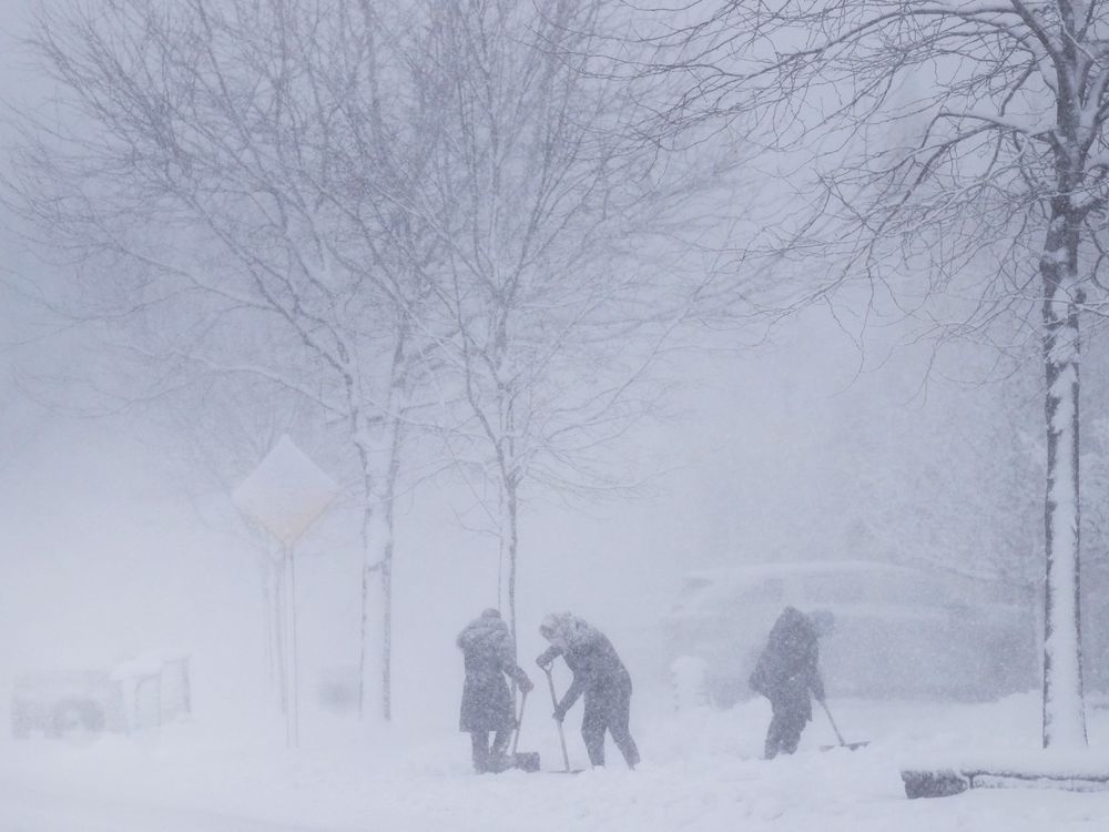 NextImg:Toronto gets its first snowfall of the winter as up to 5 cm of snow possible in some Ontario areas